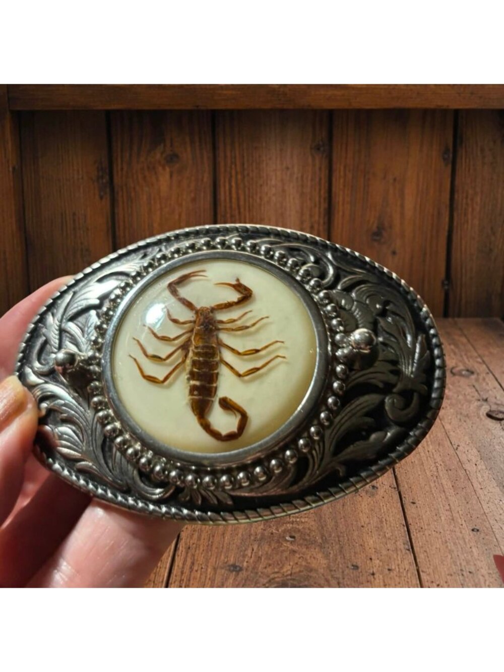 Vintage Scorpion Belt Buckle With Inlaid Resin 1970s INSECT Fashion Unisex Oddit - Picture 4 of 6